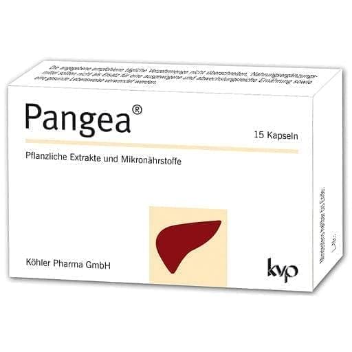 PANGEA, dandelion, turmeric, bitter melon, artichoke, black pepper, choline UK