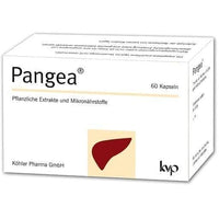 PANGEA, dandelion, turmeric, bitter melon, artichoke, black pepper, choline UK