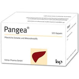 PANGEA, dandelion, turmeric, bitter melon, artichoke, black pepper, choline UK