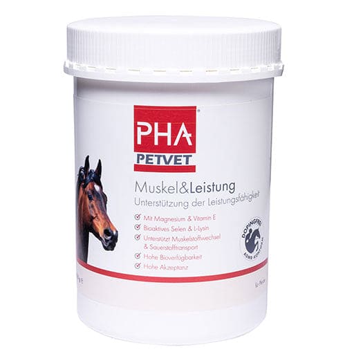 PHA Muscle & Performance for Horses Powder UK