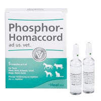 PHOSPHOR HOMACCORD ad us.vet.ampoules UK