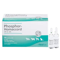 PHOSPHOR HOMACCORD ad us.vet.ampoules UK