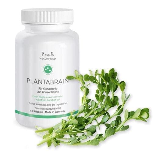 PLANTABRAIN brain capsules, caffeine, vitamin B12, iron, herbal extracts UK