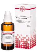 PLANTAGO LANCEOLATA mother tincture UK