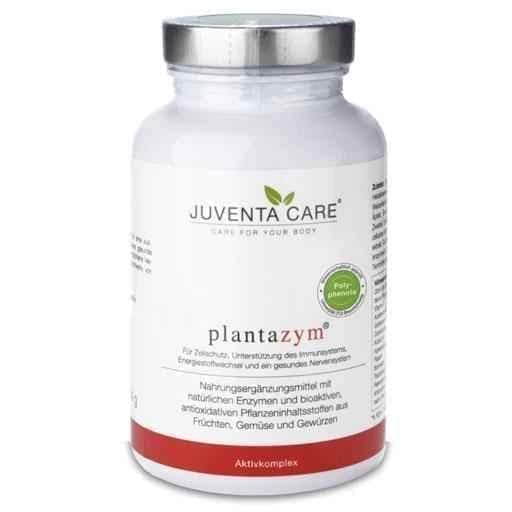PLANTAZYM capsules 120 pcs natural enzymes and bioactive, antioxidant plant UK