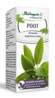 Poot x 30 capsules, excessive sweating, sage leaf UK