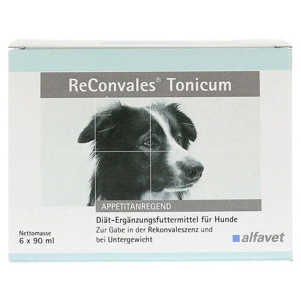 RECONVALES tonic for underweight dog, convalescence diet for dogs UK