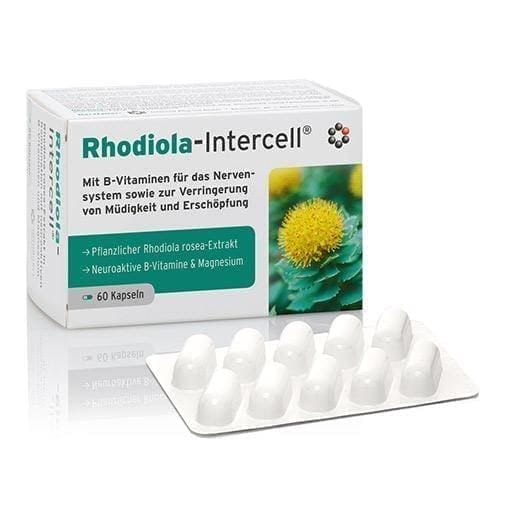 RHODIOLA INTERCELL capsules 60 pcs Rhodiola benefits UK