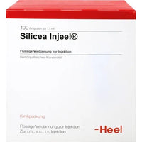 SILICEA INJEEL, homeopathy constitutional remedy, otitis, furunculosis, rachitic, dystrophic UK