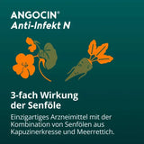 sinus infection anti infective N Film-coated Tablets 240 tablets