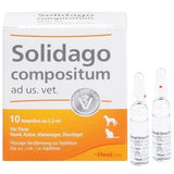 SOLIDAGO COMPOSITUM ad us.vet.ampoules UK