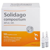 SOLIDAGO COMPOSITUM ad us.vet.ampoules UK