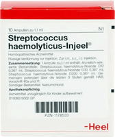 STREPTOCOCCUS HAEMOLYTICUS Injeel ampoules UK