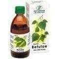 Succus Betulae 100g - Birch juice UK