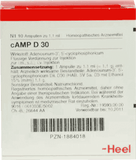 Upset stomach, CAMP D 30 ampoules UK