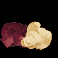 Vegetable crisps | Dried Beetroot & Parsnip | 24 x 18g UK