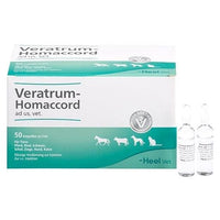 VERATRUM HOMACCORD ad us.vet.ampoules UK