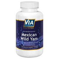 Wild mexican yam UK