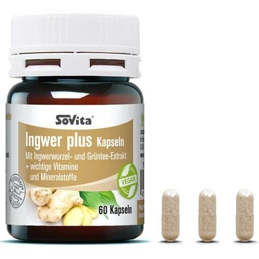 Zingiber officinale, green tea, ginger root, SOVITA ginger plus capsules UK