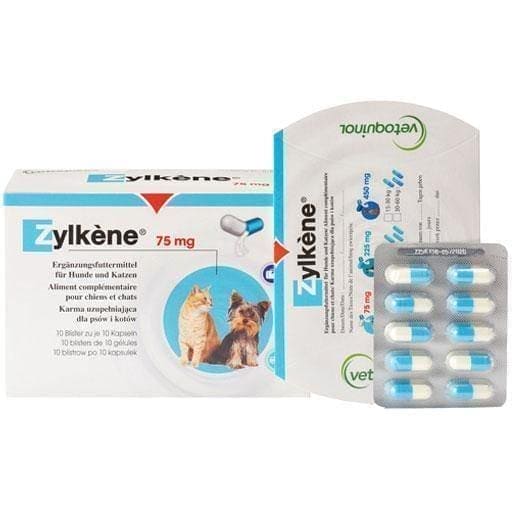 ZYLKENE 75 mg resultant feed Chews for dogs / cats 14 pc UK
