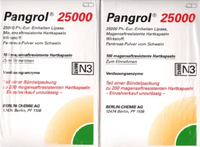 Pancreas, PANGROL 25,000 UK