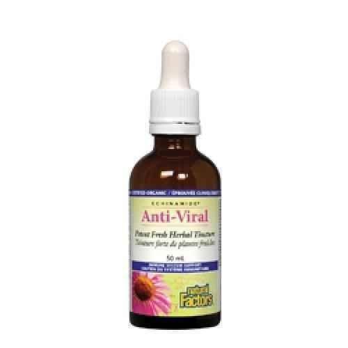 Anti-Viral, 50 ml herbal tincture UK