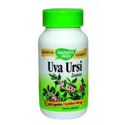 BEAR GRAPES 480 mg. 100 capsules, UVA URSI UK
