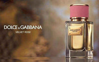 Dolce & Gabanna Velvet Rose Eau de Parfum 50ml Spray UK