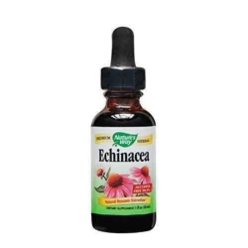 Echinacea, 30 ml (without alcohol) UK