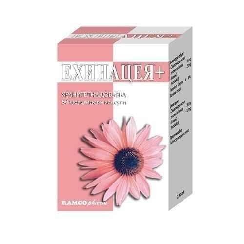 ECHINACEA PLUS 50 capsules UK