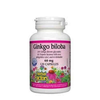 Ginkgo Biloba 60 mg, 120 capsules UK