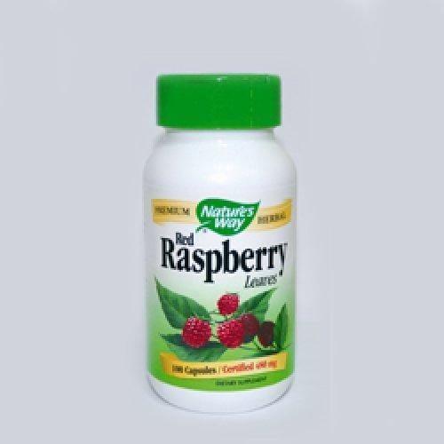 Raspberry Leaves 480 mg 100 capsules UK