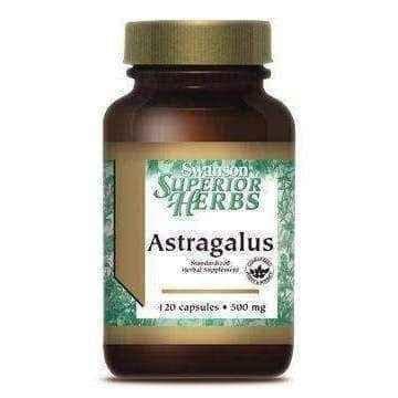 SWANSON Astragalus extract 120 x 500 mg capsules UK