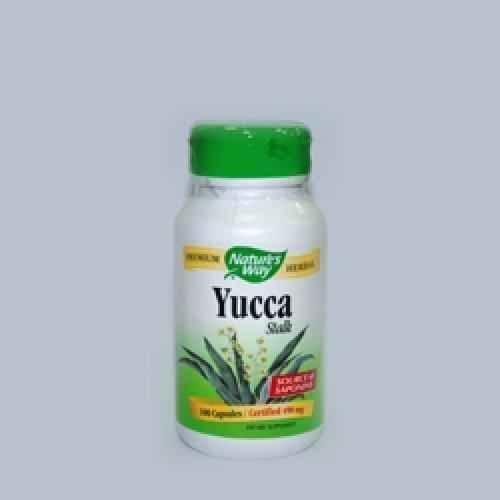 Yucca (stem), 490 mg 100 capsules, gastrointestinal activity and peristalsis UK